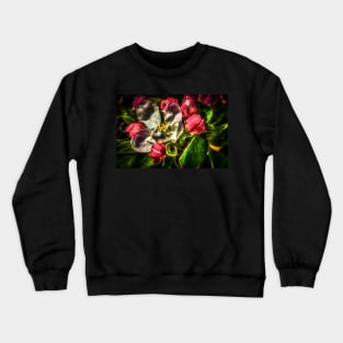 HDR Apple Blossom Crewneck Sweatshirt